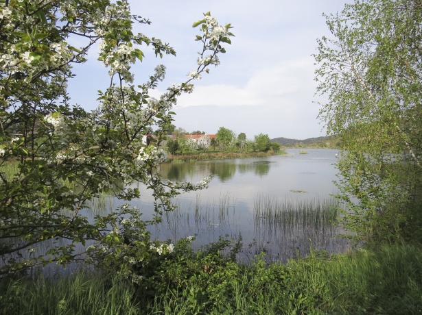 Wasserretentionsbecken